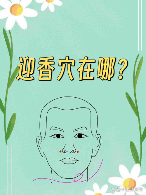 鼻子上都有哪些穴位