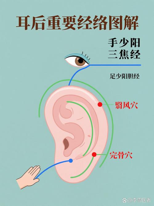 耳垂后面穴位管什么