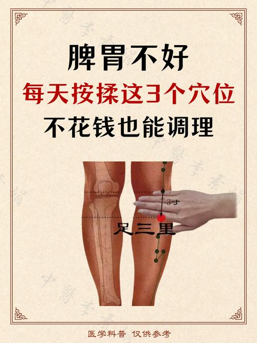 脾胃失调按什么穴位