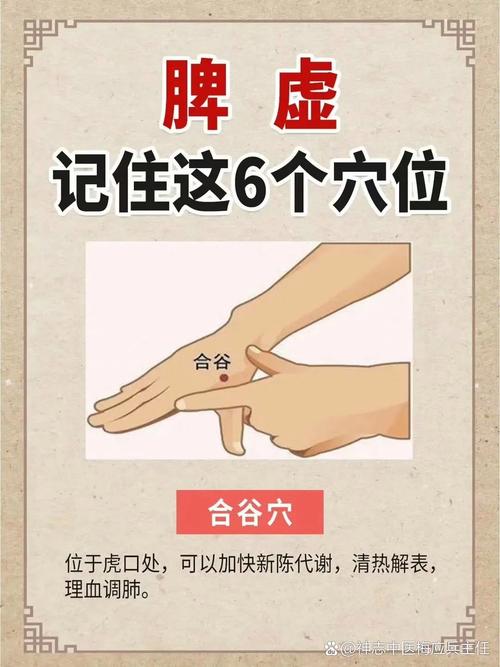 脾胃失调按什么穴位