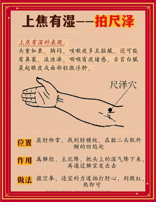 身体那个穴位能除湿