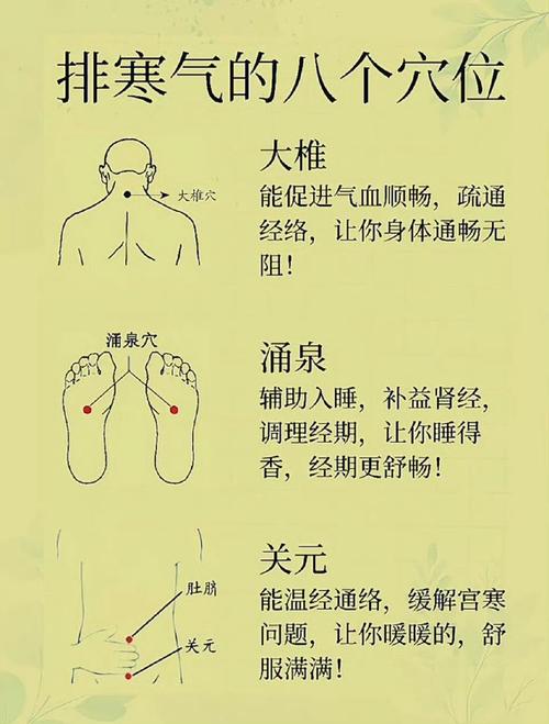 身体那个穴位能除湿