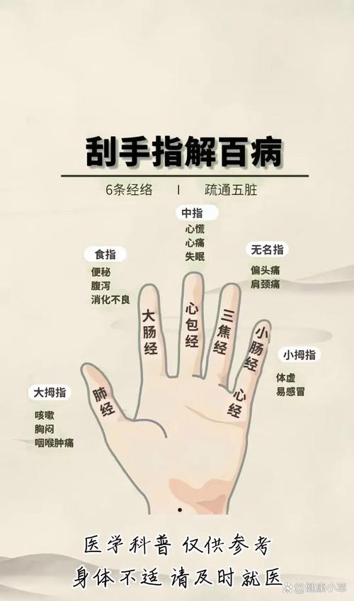 食指中指间根部穴位