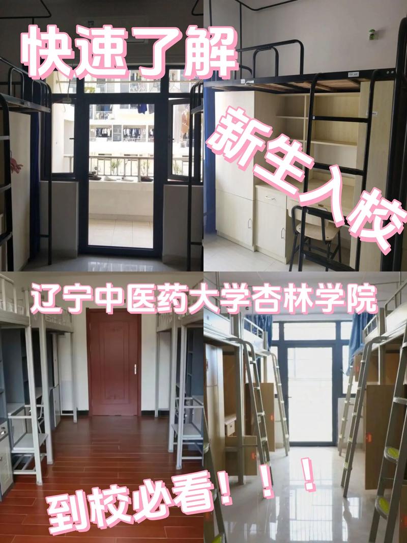 辽宁中医杏林学院官网
