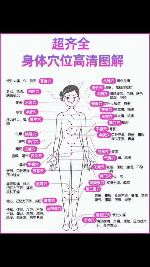 穴位 分布图 图解