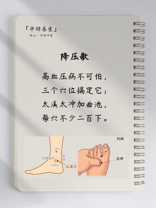 高血压刺激什么穴位
