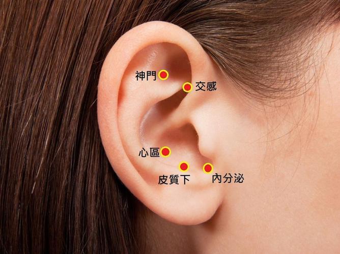 高血压刺激什么穴位
