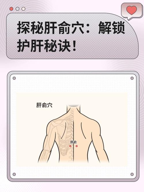 肝囊肿针灸那个穴位