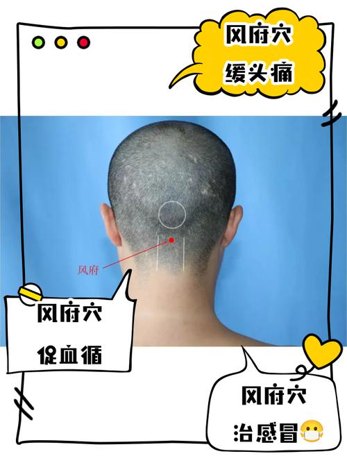 风府穴位位置图大全