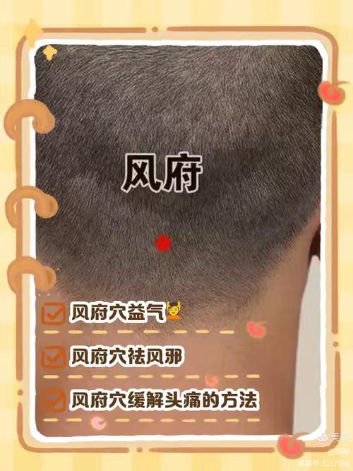 风府穴位位置图大全