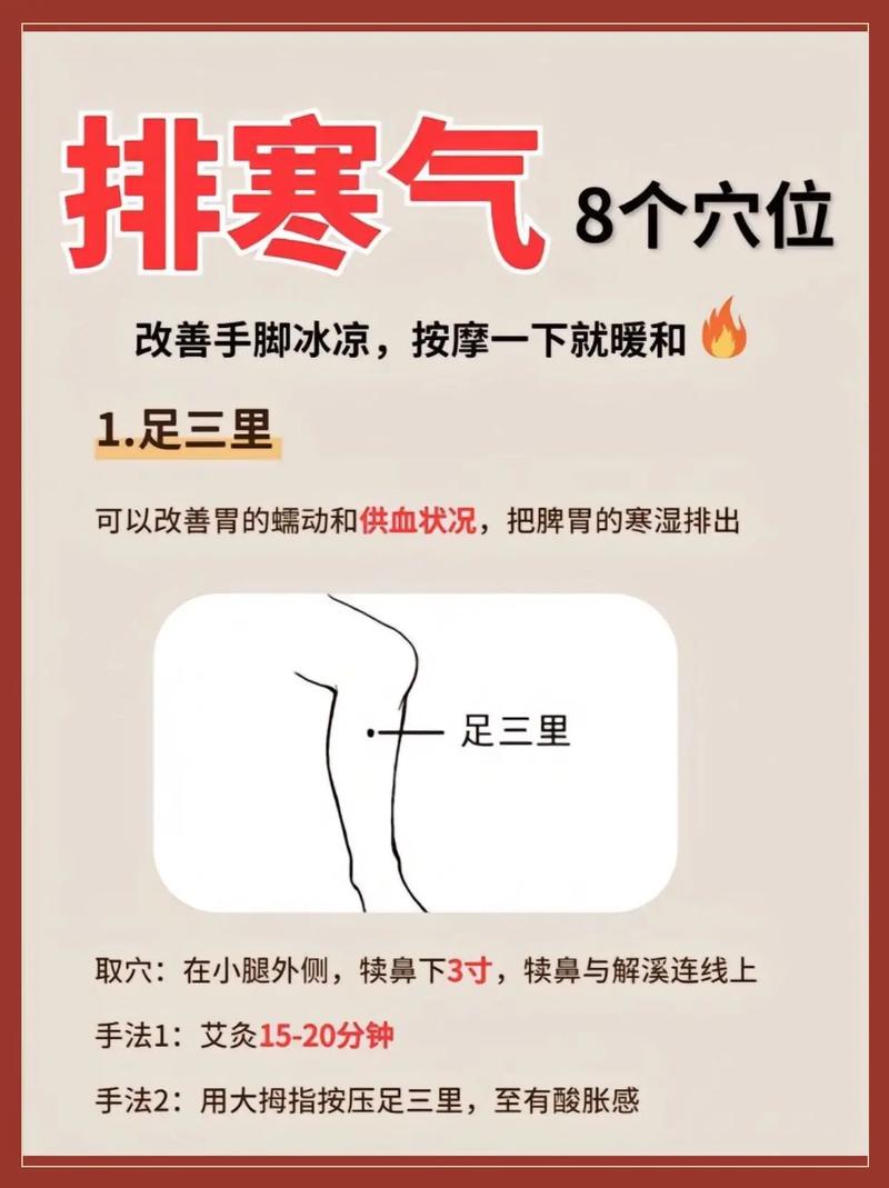 手脚冰冷按哪个穴位
