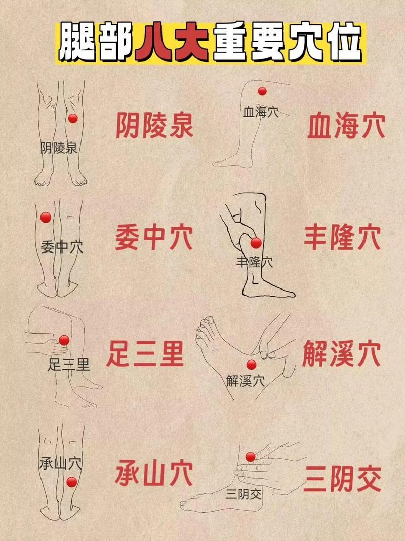 手脚冰冷按哪个穴位