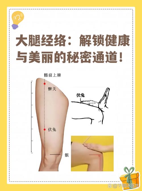 大腿粗怎么拍打穴位