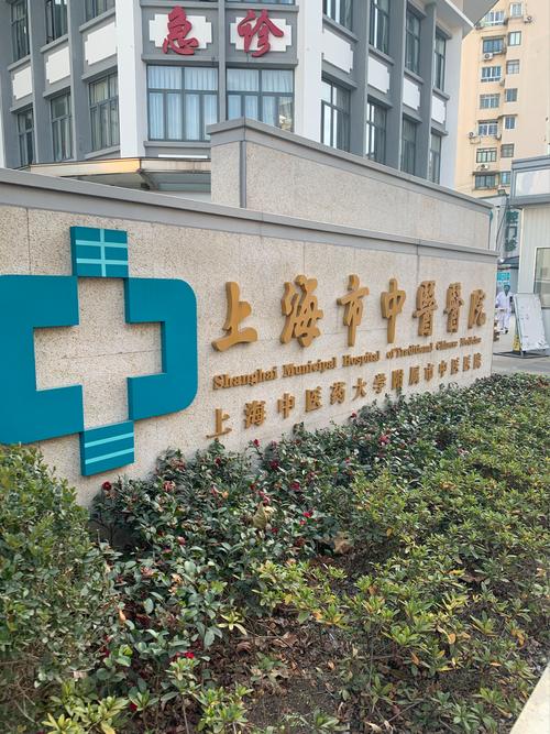 上海什么中医院比较好