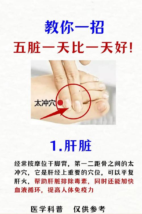 肝胆湿热按哪个穴位