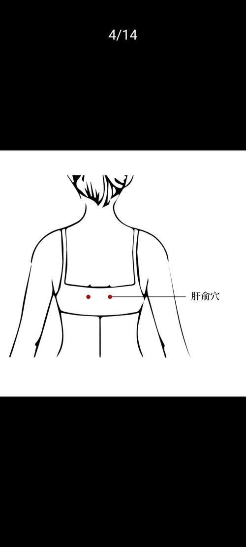 肝胆湿热按哪个穴位