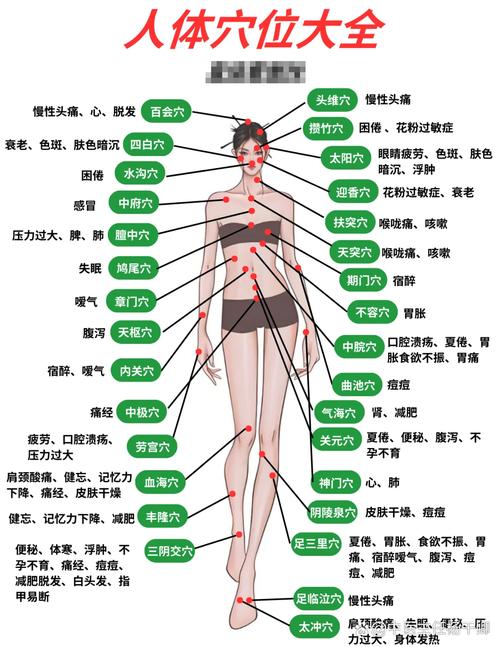 全身穴位按摩大图典