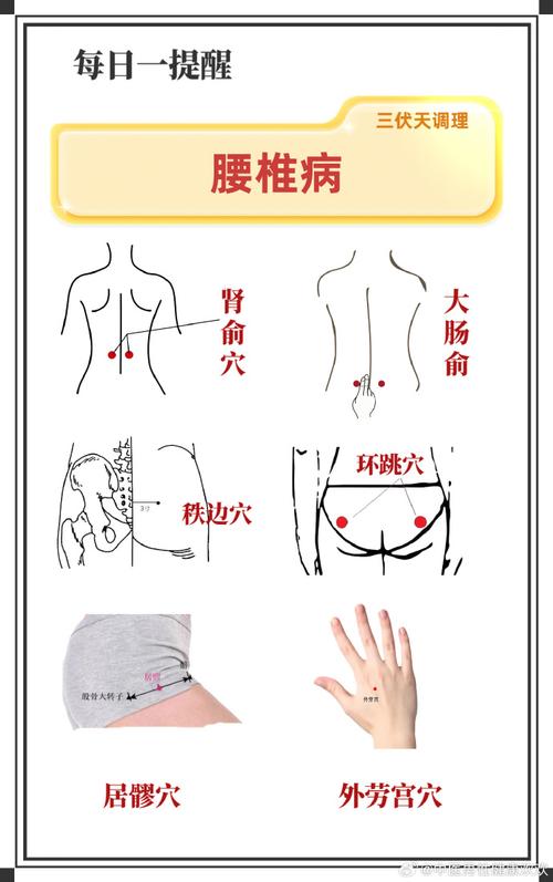 后背腰椎有多少穴位