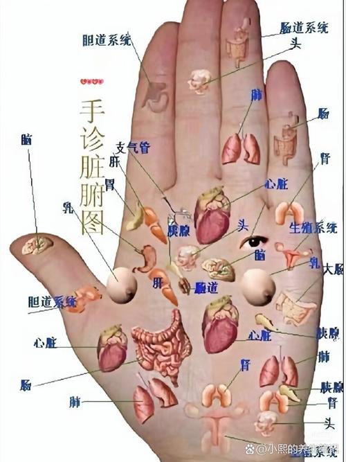 保胎按手上哪个穴位