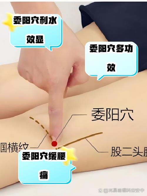阳痿哪个穴位能按好