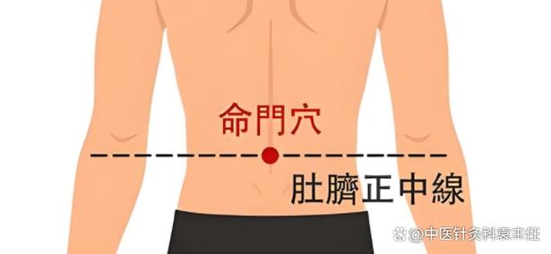 阳痿哪个穴位能按好