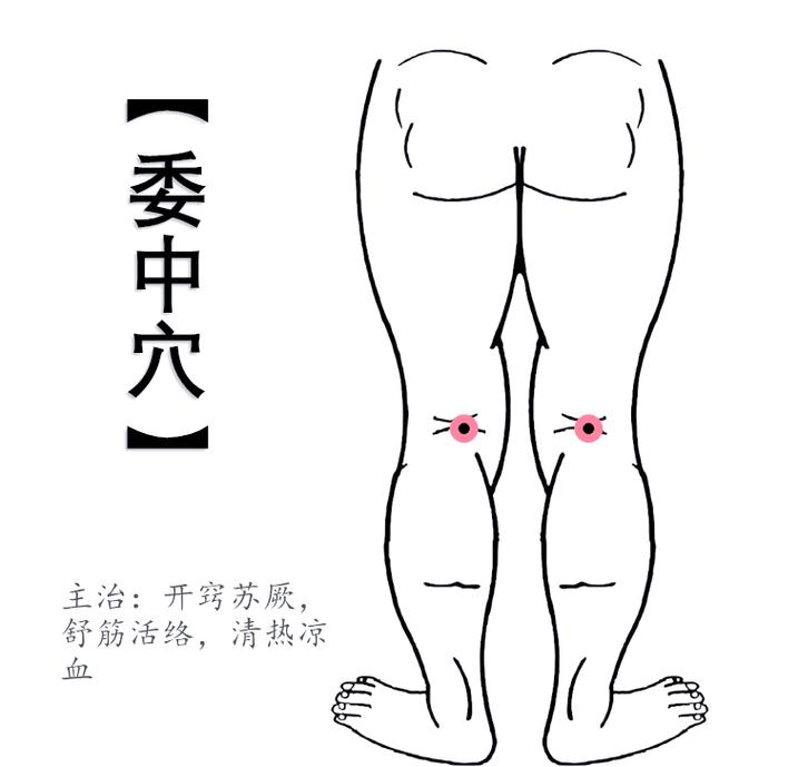 委中穴下来什么穴位