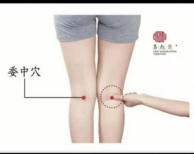 委中穴下来什么穴位
