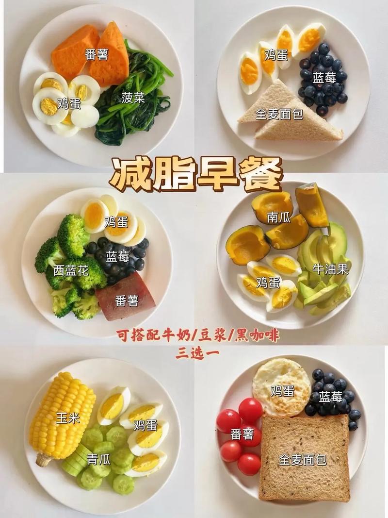 减肥期间饮食怎么搭配