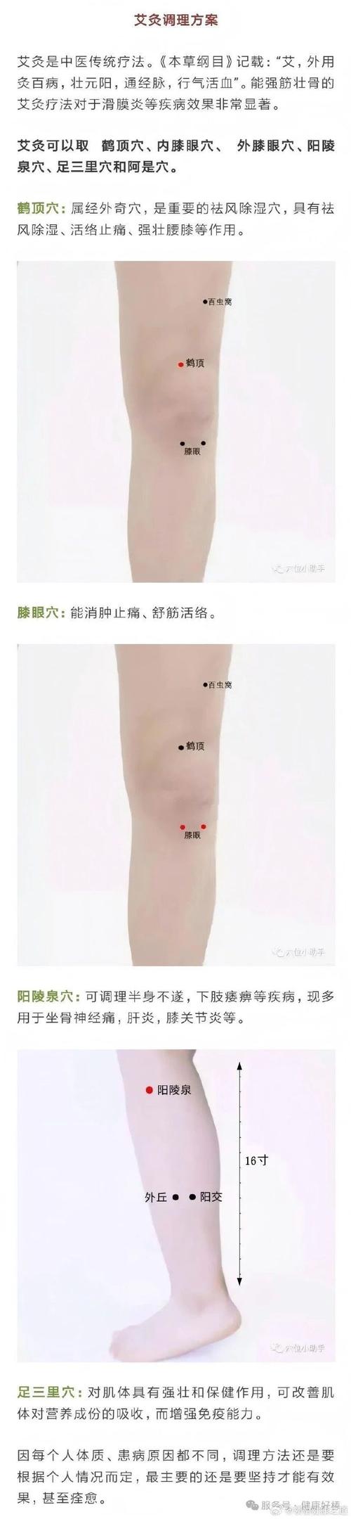 膝盖酸痛灸哪个穴位