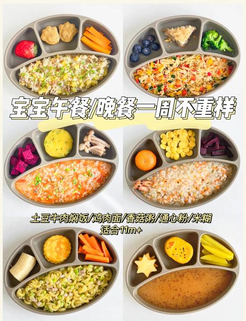 十一个月宝宝一天饮食