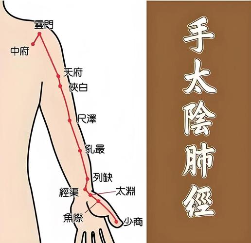 可以经常拍打的穴位