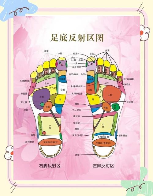 足部反射区穴位袜子