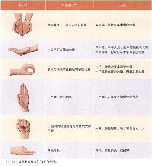 糖尿病饮食的手掌法则